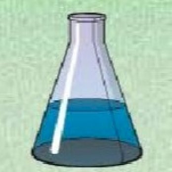 بلقيس بني ياسين